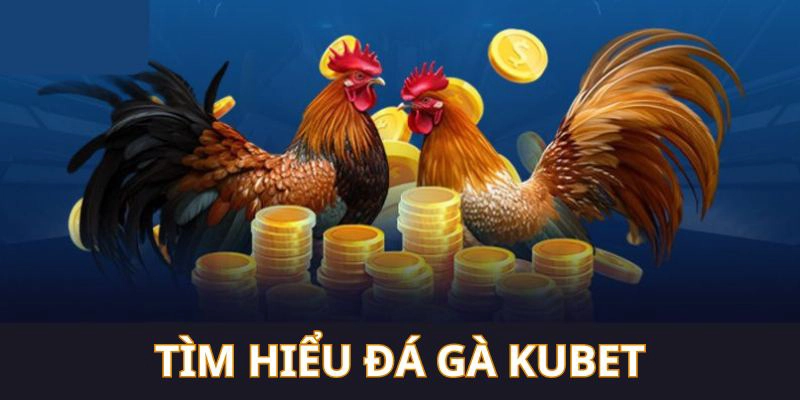 Tìm hiểu thông tin về đá gà Q88
